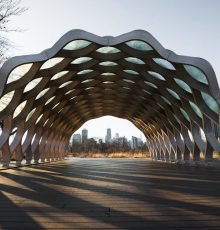 pexels photo 2325883 2325883